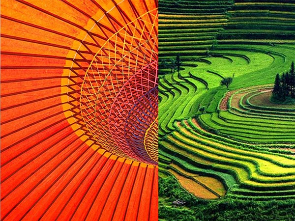 travel brochure thumb